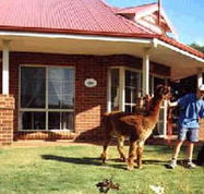 Brilea Cottages - New Castle Holiday