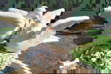 Wynyabbie House - New Castle Holiday 2