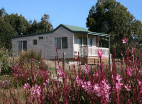 Daysy Hill Country Cottages - New Castle Holiday 5