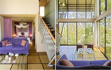 EcOasis - New Castle Holiday 1