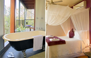 EcOasis - New Castle Holiday 2