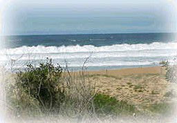 Wagstaffe NSW New Castle Holiday