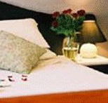 Australian Homestead Motor Inn - New Castle Holiday