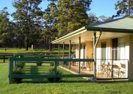 Neds Bed Horse O Tel - New Castle Holiday 1