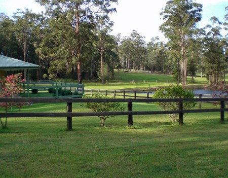 Neds Bed Horse O Tel - New Castle Holiday 2