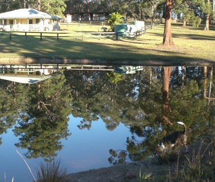 Neds Bed Horse O Tel - New Castle Holiday 4