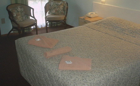 Bandicoot Motor Inn - New Castle Holiday 4