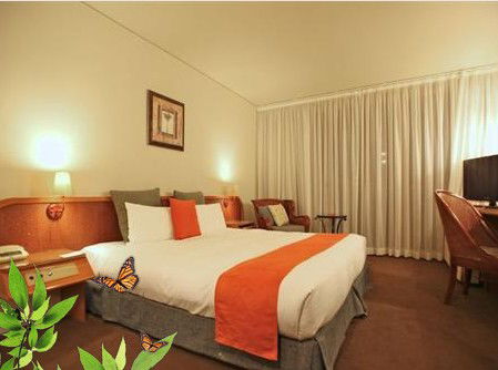 Absolute Beachfront Novotel Pacific Bay - New Castle Holiday 1