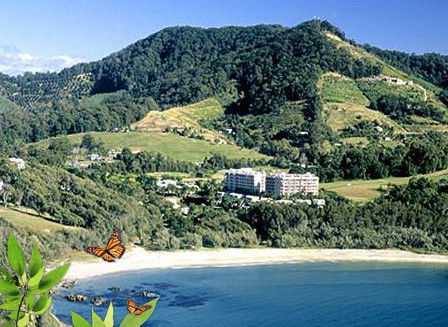 Absolute Beachfront Novotel Pacific Bay - New Castle Holiday 3