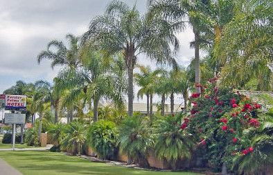 Forster Palms Motel - New Castle Holiday 2