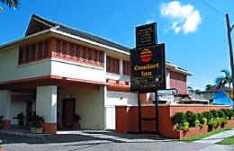 Comfort Inn The Rose - New Castle Holiday 1