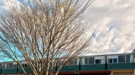 St Helens Bayside Inn - New Castle Holiday 1