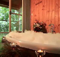 Tree Houses Of Montville - New Castle Holiday