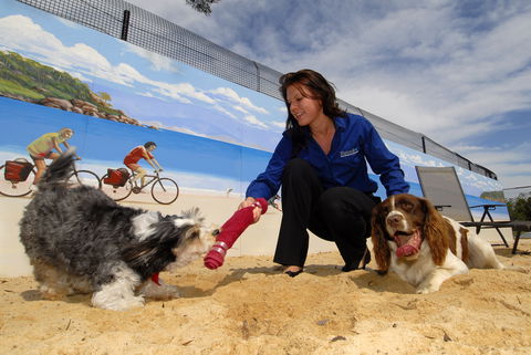 Hanrob Pet Hotels - New Castle Holiday 0