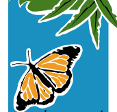 Wanderers Retreat - New Castle Holiday