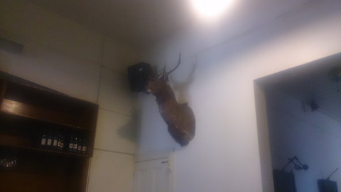 Union Hotel - New Castle Holiday 0