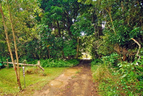 Wompoo Cottage - New Castle Holiday 0