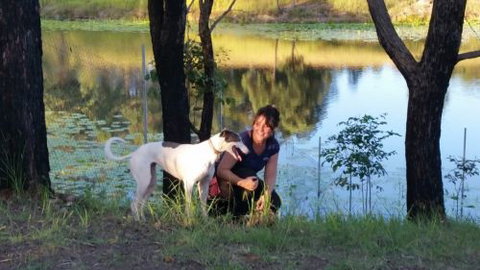 Wingham Pet Motel - New Castle Holiday 2