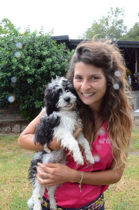 Wingham Pet Motel - New Castle Holiday 5