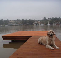 Eleven From The Left - New Castle Holiday