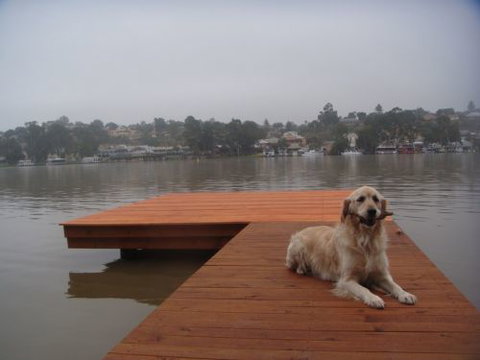 Eleven From The Left - New Castle Holiday 0