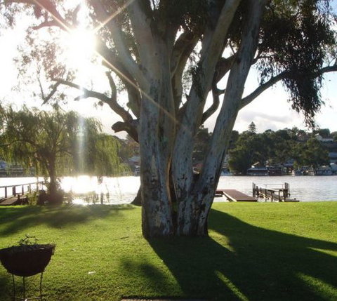 Eleven From The Left - New Castle Holiday 1