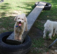 Beenleigh Pet Motel - New Castle Holiday