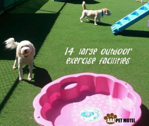 AAA Pet Motel - New Castle Holiday 2