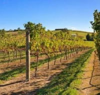 DeVine Escape - New Castle Holiday