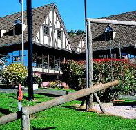 Golden Chain Village Family Motor Inn - New Castle Holiday