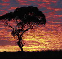 Kimba Caravan Park amp Motel - New Castle Holiday