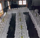 Echidna Gully Paintball and Lazerblits - New Castle Holiday