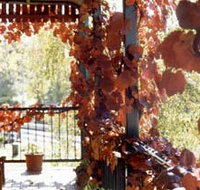 The Vines Motel amp Cottages - New Castle Holiday