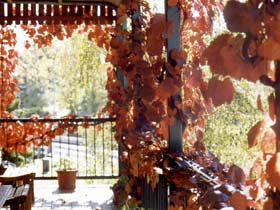 The Vines Motel & Cottages - New Castle Holiday 0