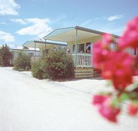 Eldorado Tourist Park - New Castle Holiday