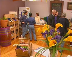 Tourist Parks Shearwater TAS New Castle Holiday