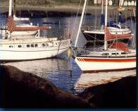 Boat Harbour Motel & Anchorage Restaurant - New Castle Holiday 1