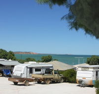 Blue Dolphin Caravan Park and Holiday Village - New Castle Holiday