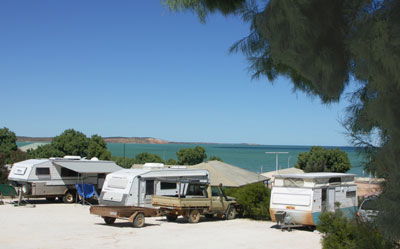Blue Dolphin Caravan Park And Holiday Village - New Castle Holiday 0