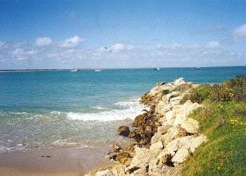 St Andrews Boulevard Apartments - New Castle Holiday 2