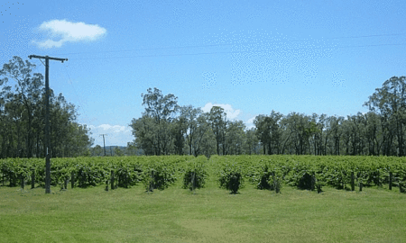 Copper Country Motor Inn - New Castle Holiday 3