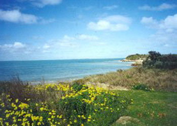 Southern Ocean Tourist Park - New Castle Holiday 1