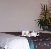 Best Western Ambassador Motor Inn - New Castle Holiday