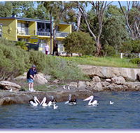 Almonta Holiday Apartments - New Castle Holiday