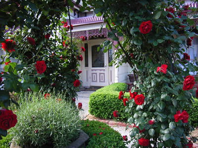 Bed And Breakfast At Stephanie's - New Castle Holiday 0