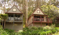 Great Ocean Road Cottages - New Castle Holiday 1