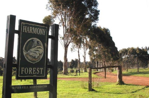 Harmony Forest - New Castle Holiday 0