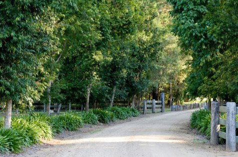 The Plantation - New Castle Holiday 0