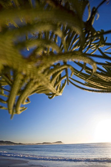 Terrigal Sails Serviced Apartments - New Castle Holiday 5