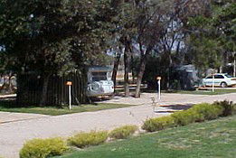 Paringa Caravan Park - New Castle Holiday 0